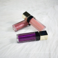 Cosmétique de marque privée Beauty Lip Gloss Cosmétique